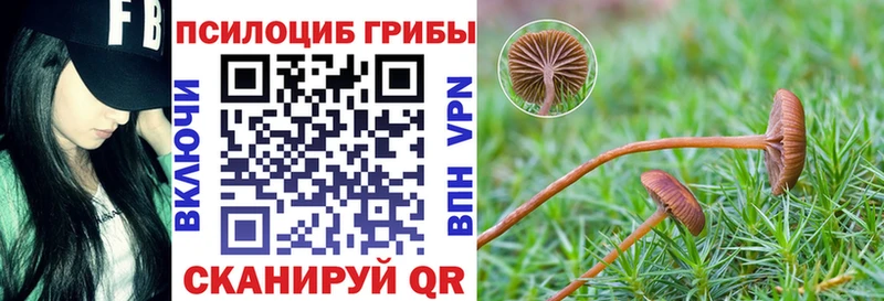 Галлюциногенные грибы GOLDEN TEACHER  omg ONION  Мичуринск 